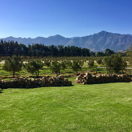 Olive Cottage Franschhoek Esterno foto