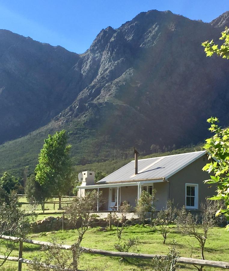 Olive Cottage Franschhoek Esterno foto