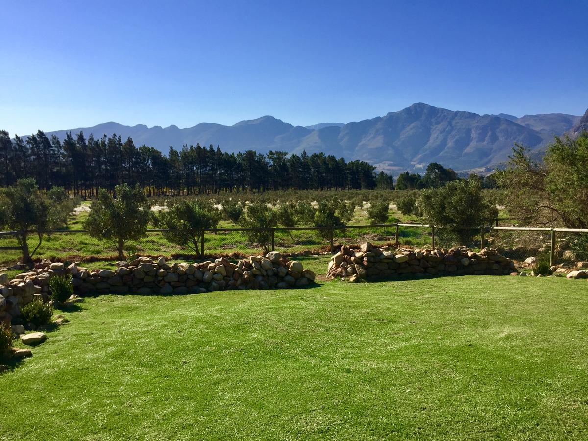 Olive Cottage Franschhoek Esterno foto